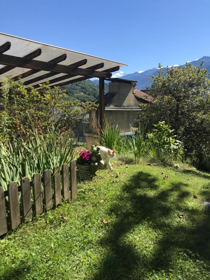 Al Chiar Di Luna Valtellina Frühstückspension Chiuro